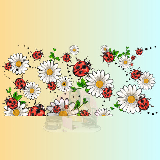 Ladybugs